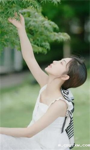 BT天堂种子搜索最新版免费下载